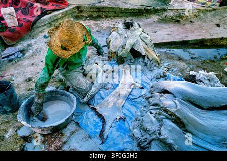 Immersione e ammorbidimento delle pelli in una conceria locale, Marrakesh, Marocco, Nord Africa Foto Stock