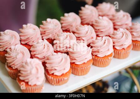 File di cupcake rosa con glassa a spirale su vassoio bianco Foto Stock