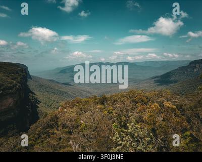 Vista del vasto paesaggio delle Blue Mountains con scogliere frastagliate, fitte foreste di eucalipto e valli ondulate sotto un cielo blu intenso nelle Blue Mou Foto Stock