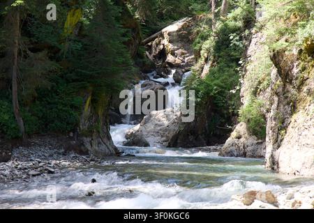 Fiume di montagna limpido che scorre attraverso una gola rocciosa stretta circondata da una fitta foresta sempre verde, pareti rocciose ricoperte di muschio e paesaggio alpino illuminato dal sole. Foto Stock