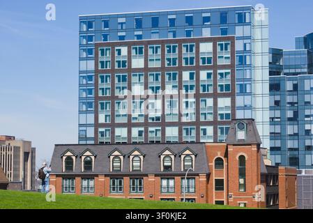 Grattacielo moderno in vetro che svettano su un edificio storico in mattoni con un uomo in piedi su una collina erbosa in primo piano. Halifax, Nuova Scozia, Canada Foto Stock
