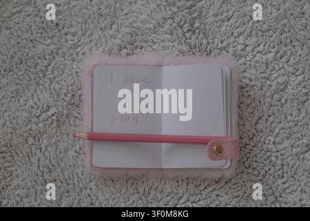 Flat lay di un quaderno aperto con una matita rosa posizionata su un tappeto morbido e texture. La composizione minimalista rappresenta la scrittura, la pianificazione, il journaling, Foto Stock