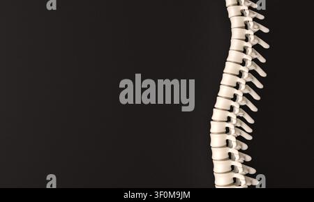 Colonna vertebrale umana sfondo nero 3d Foto Stock