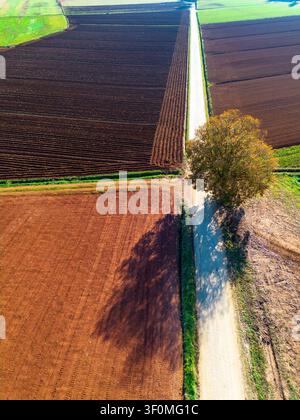 Paesaggio patchwork autunnale nella campagna di Siena Foto Stock