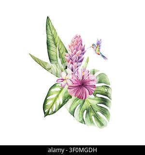 Composizione tropicale, Colibrì, Frangipani in fiore, Curcuma, Fiori su un ramo. Acquerello disegnato a mano foglia di Monstera Plumeria, Piante di Zenzero Foto Stock