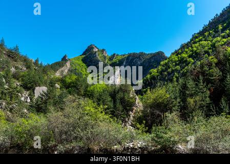Una drammatica gola montana con pinnacoli rocciosi di calcare affilati che si innalzano sopra pendici densamente boschive coperte da alberi misti di conifere e latifoglie i Foto Stock