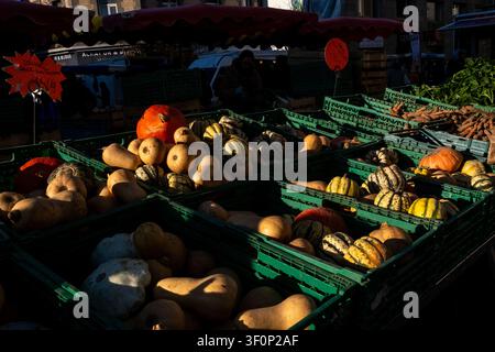 Vista ravvicinata di cassette di plastica verdi piene di zucca butternut, zucche arancioni, zucche striate e zucche pallide in un mercato all'aperto intorno a Place Foto Stock