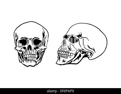 Teschio umano, viste frontale e laterale. Illustrazione vettoriale disegnata a mano in stile line art. Clipart in inchiostro nero per biglietti e inviti di Halloween, tatuaggio Illustrazione Vettoriale