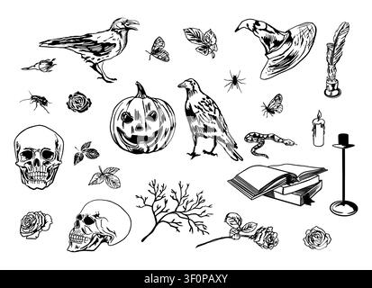 Set di Halloween. Zucca, teschio umano, corvo, candele, libri, ramo d’albero, rose e scarafaggio. Illustrazione vettoriale disegnata a mano in stile line art. Nero Illustrazione Vettoriale