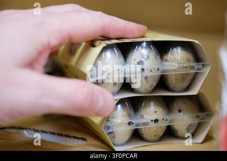 Mano che seleziona due cartoni di uova di quaglia fresche da uno scaffale del supermercato Foto Stock