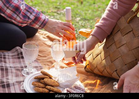 Le persone si godono un picnic all'aperto su una coperta. Una persona versa vino rosé nei bicchieri mentre un'altra cerca in un cestino di vimini. Biscotti e snack sono Foto Stock
