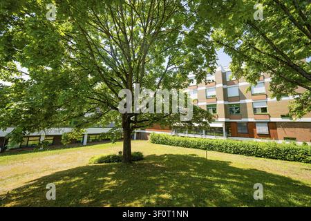 Albero grande su un prato davanti a un edificio a più piani con finestre e architettura moderna, Centro Sanitario Integrato della Rete Clinica del Sudovest Foto Stock