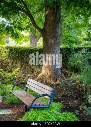 Una panchina vuota che riposa all'ombra di un grande albero maturo accanto a una siepe verde fitta in un paesaggio giardino soleggiato durante il giorno Foto Stock