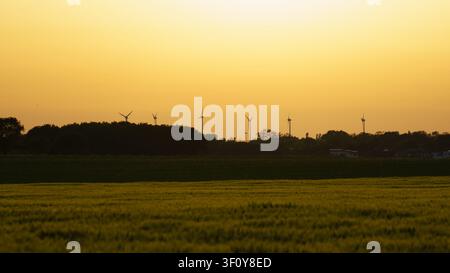Vista di turbine eoliche silouettate contro un cielo dorato del tramonto su un campo a Wunstorf, Bassa Sassonia, Germania. Foto Stock