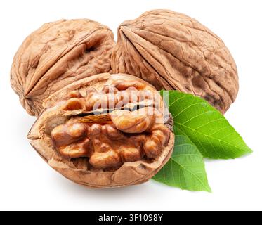 Noci intere, noci spezzate con noccioli e foglie verdi isolate su sfondo bianco. Tracciato di ritaglio. Foto Stock