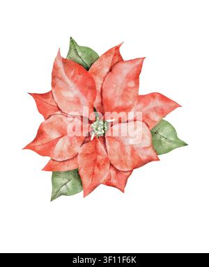Fiore di poinsettia dipinto a mano ad acquerello. Illustrazione botanica natalizia per biglietti di auguri, inviti, decorazioni per le feste, composizioni floreali e fe Illustrazione Vettoriale
