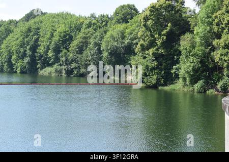 Lago artificiale Bütgenbacher See in Belgio Foto Stock