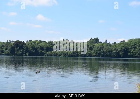 Lago artificiale Bütgenbacher See in Belgio Foto Stock