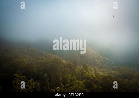 Paesaggio boschivo di montagna atmosferico con nebbia ondulata, vegetazione fitta e luce calda che filtra attraverso la valle. Foto Stock