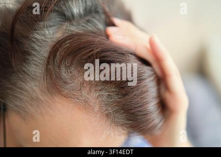 Donna di mezza età con radici grigie visibili su capelli scuri. Caduta dei capelli ormonale, salute femminile e cambiamenti legati all'invecchiamento. Foto Stock