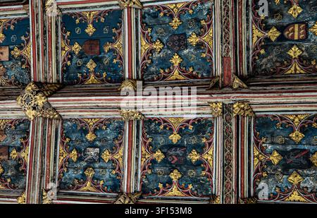 Vista dettagliata di un soffitto in legno medievale ornato con intricati intagli, pitture blu e dorate e scudi araldici decorativi Foto Stock