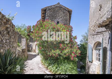 Vista di un stretto sentiero non lastricato che passa davanti a vecchie case in pietra naturale e un grande cespuglio di oleandro fiorito di rosso davanti a una casa in pietra medievale nel Foto Stock