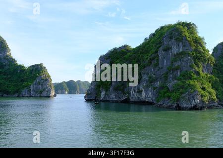 Stretto corso d'acqua che si insinua tra ripide scogliere carsiche di calcare ricoperte di vegetazione tropicale, Baia di Ha Long, Vietnam. Foto Stock