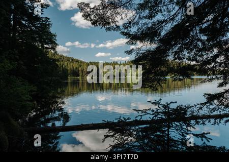 Nuvole e foresta sempreverde riflesse sulla superficie calma del Lago Nero nel Parco Nazionale del Durmitor, Zabljak, Montenegro. Paesaggio alpino tranquillo Foto Stock
