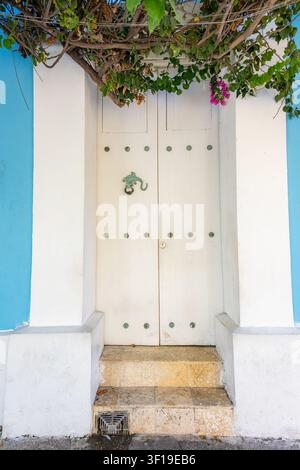 L'architettura coloniale affascinante di Cartagena presenta una porta in legno bianco dettagliata adornata da un battente unico a forma di iguana verde. Incorniciata da bougainvillea rampicanti Foto Stock
