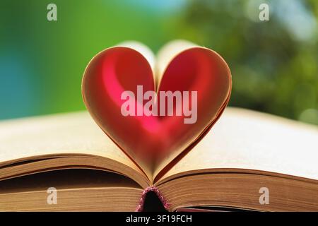 Libro con cuore fatto di pagine all'aperto, primo piano Foto Stock