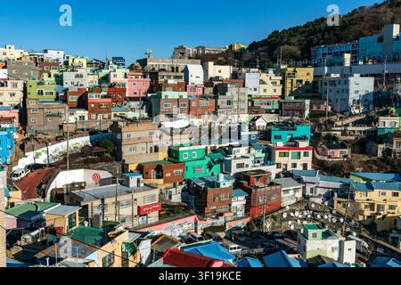 Panorama aereo di case multicolori che scendono a cascata lungo il pendio, villaggio culturale di Gamcheon, Busan, Corea del Sud Foto Stock