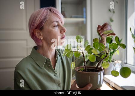 Donna matura pensierosa che si prende cura di una pianta d'appartamento, ispeziona la crescita del fogliame della Pilea peperomioides in vaso Foto Stock