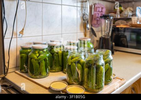 Cetrioli freschi conservati in barattoli di vetro allineati su un bancone della cucina durante una tradizionale sessione di conservazione casalinga. Foto Stock