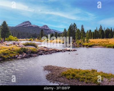Ruscello di prateria montana con picchi di granito e foresta di pini, che mostra un paesaggio alpino tranquillo con acqua che scorre ed erbe selvatiche. Foto Stock