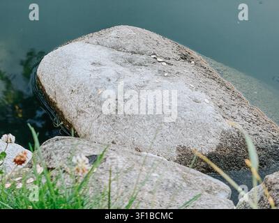 Prima piano di un grande masso di granito parzialmente sommerso nell'acqua calma di un lago, con texture di pietra naturale, riflessi morbidi e un ambiente tranquillo all'aperto Foto Stock