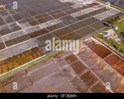 Vista aerea delle saline di Aveiro con bacini di evaporazione geometrici che mostrano colori e texture variabili ad Aveiro, distretto di Aveiro, Portogallo. Foto Stock