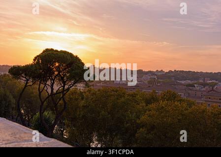 Stupendo tramonto dorato sulla città di Roma con la silhouette di un pino tradizionale italiano. Bellissimo cielo serale caldo, tetti storici e ro Foto Stock