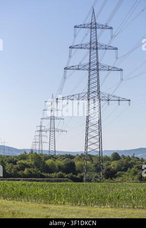 Pali della corrente sopra un'area agricola in un paesaggio, Baden-Württemberg, Germania Foto Stock