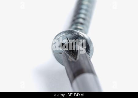 Vite metallica con attacco a forma di stella ingaggia la testa dell'utensile. Il primo piano evidenzia la superficie metallica affilata e riflettente. Lo sfondo luminoso isola il soggetto, enfatizza Foto Stock