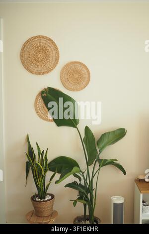 Decorazione domestica con piante e arte murale tessuta Foto Stock