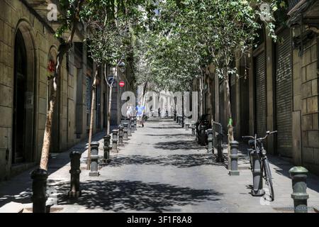 Viale pedonale alberato nel centro storico di Barcellona, Spagna. Foto Stock