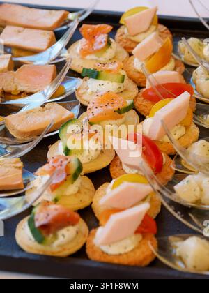 Vari canapés gourmet e antipasti di dimensioni ridotte disposti su un vassoio da catering Foto Stock