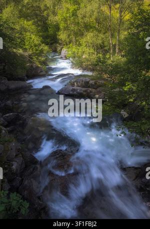 Una scena tranquilla che mostra un fiume che scorre dolcemente e cade a cascata su rocce a lles, Cerdanya, Catalogna Foto Stock