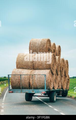 Rimorchio agricolo pesante carico di balle di fieno rotonde che procede su una strada asfaltata attraverso la campagna. Trasporto post-raccolta, infrastruttura rurale a Foto Stock