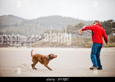 Il proprietario del cane lancia un giocattolo per il suo cane sulla spiaggia Foto Stock