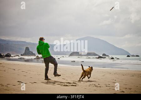 Vista laterale del proprietario di un cane che lancia un bastone al suo cane attivo Foto Stock