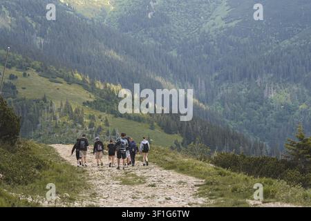 Gruppo di giovani escursionisti che camminano lungo un sentiero sterrato su una cresta montuosa, persone che trekking attraverso il paesaggio alpino durante un'avventura estiva all'aperto. Alta q Foto Stock