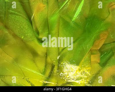 Texture astratta formata da materiale traslucido raggrinzito con gocce d'acqua prominenti che riflettono gradienti gialli e verdi vibranti. Suggerisce organico Foto Stock