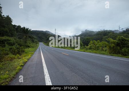 strada accanto ad un albero nella stagione delle piogge Foto Stock