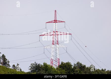 Le linee ad alta tensione e le torri di trasmissione si collegano attraverso il terreno naturale per fornire elettricità su lunghe distanze. Foto Stock